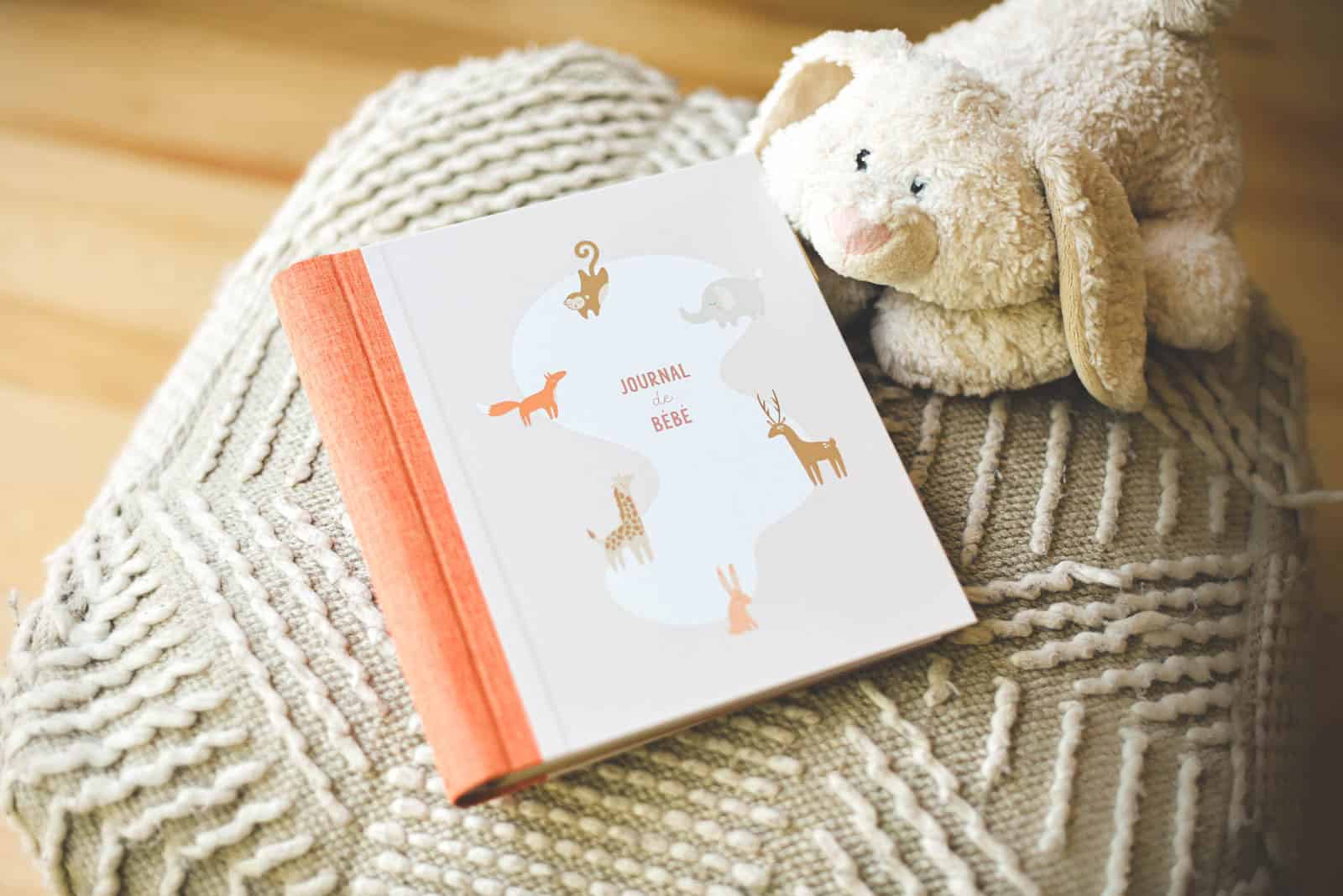 Journal de bébé : de la naissance à 5 ans
