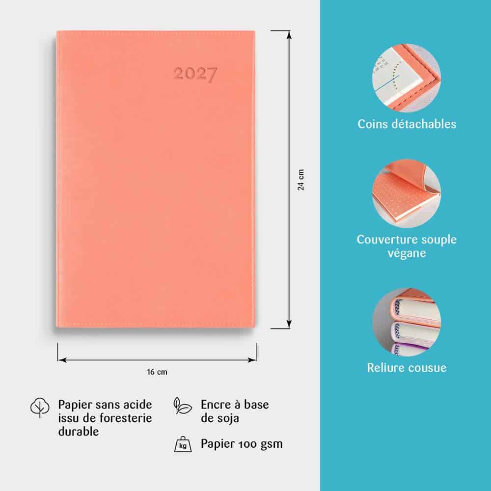 Gama annuel 2027 - abricot - Image 3